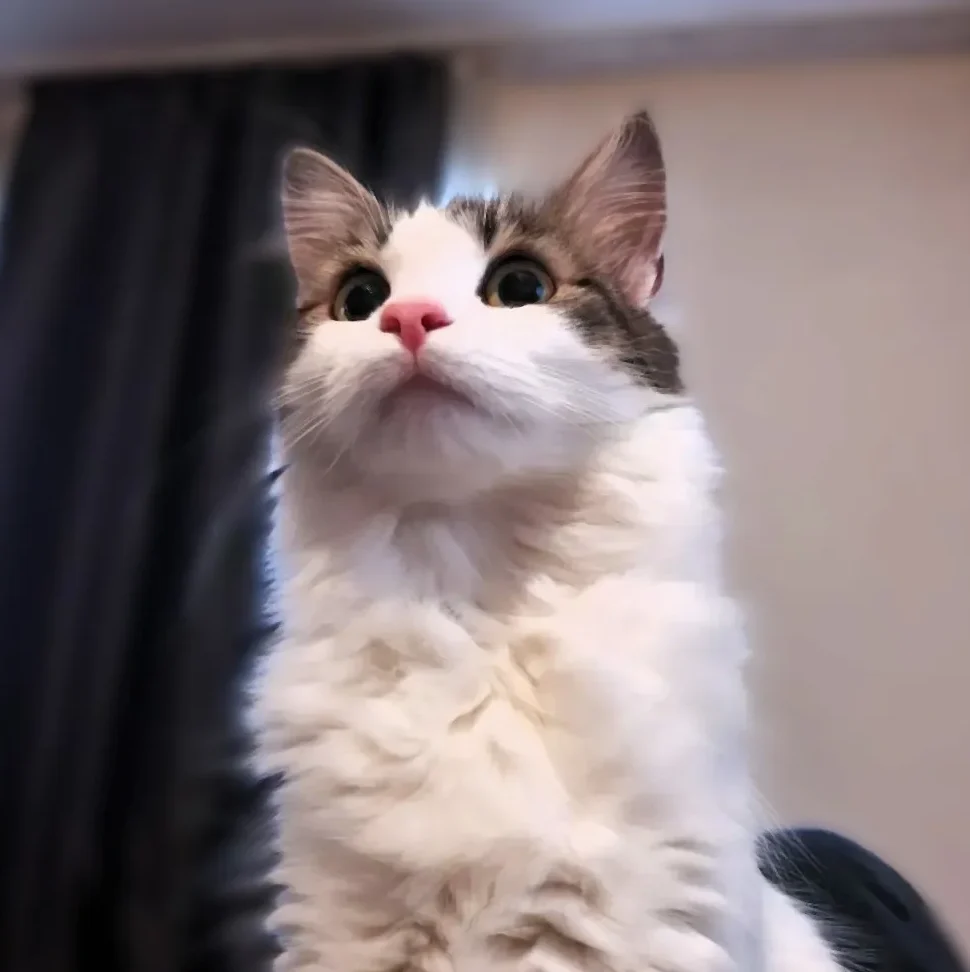 Loki, Laboratuvar Asistanı