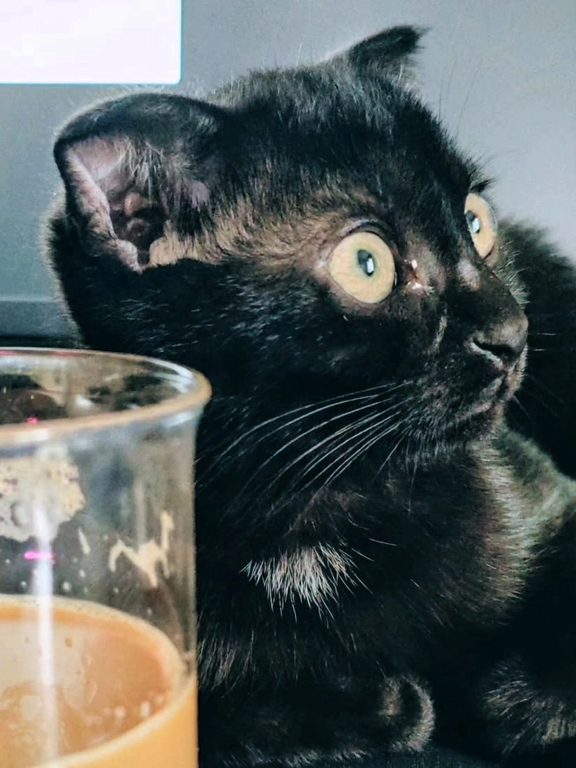 Lucius Snape, The Void